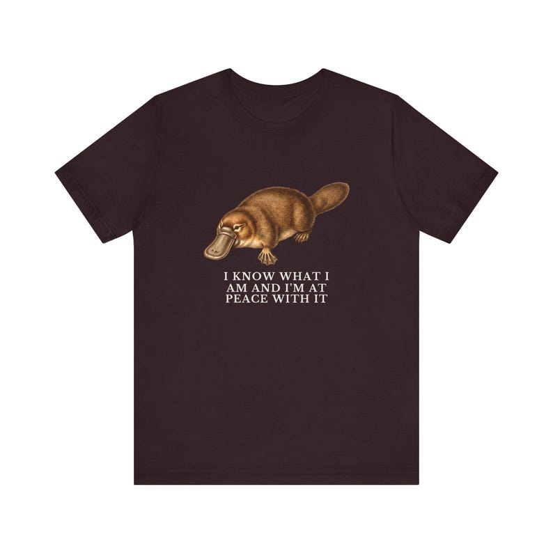 Peace With It Platypus Shirt, Funny Platypus Tee, Self Acceptance Gift, Weird Animal Humor Graphic T-Shirt, Nature Lover image 20