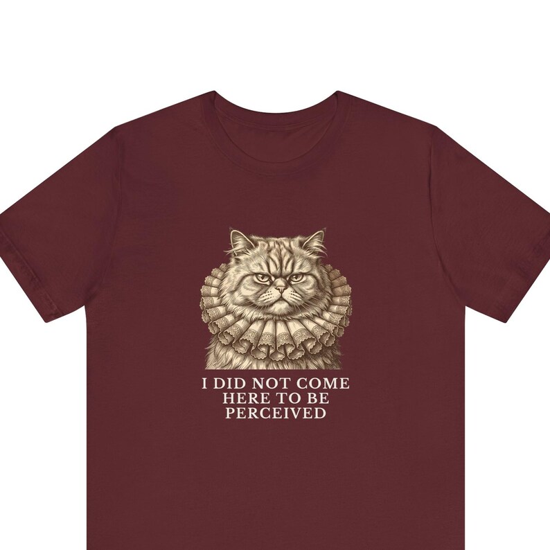 Did Not Come To Be Perceived T-Shirt image 1