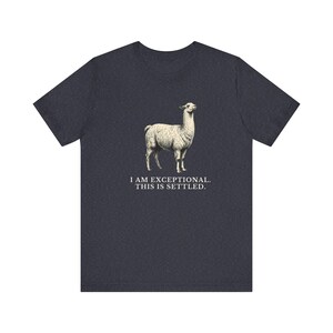 Exceptional This Is Settled Shirt, Funny Llama Tee, Self Confidence Gift, Bold Statement Graphic T-Shirt, Llama Lover image 15