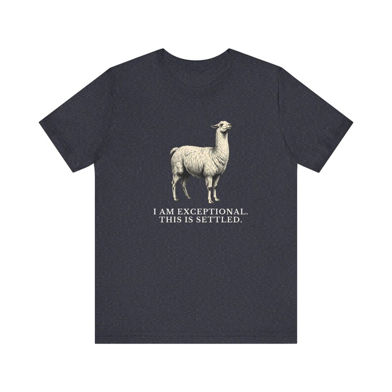 Exceptional This Is Settled Shirt, Funny Llama Tee, Self Confidence Gift, Bold Statement Graphic T-Shirt, Llama Lover image 15