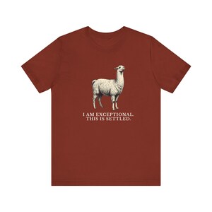 Exceptional This Is Settled Shirt, Funny Llama Tee, Self Confidence Gift, Bold Statement Graphic T-Shirt, Llama Lover image 7