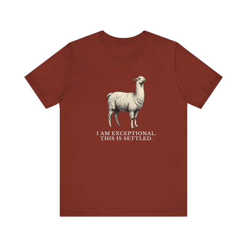 Exceptional This Is Settled Shirt, Funny Llama Tee, Self Confidence Gift, Bold Statement Graphic T-Shirt, Llama Lover image 7