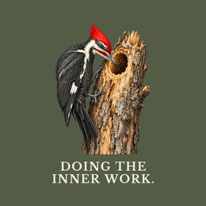 Doing The Inner Work Woodpecker T-Shirt Bild 2