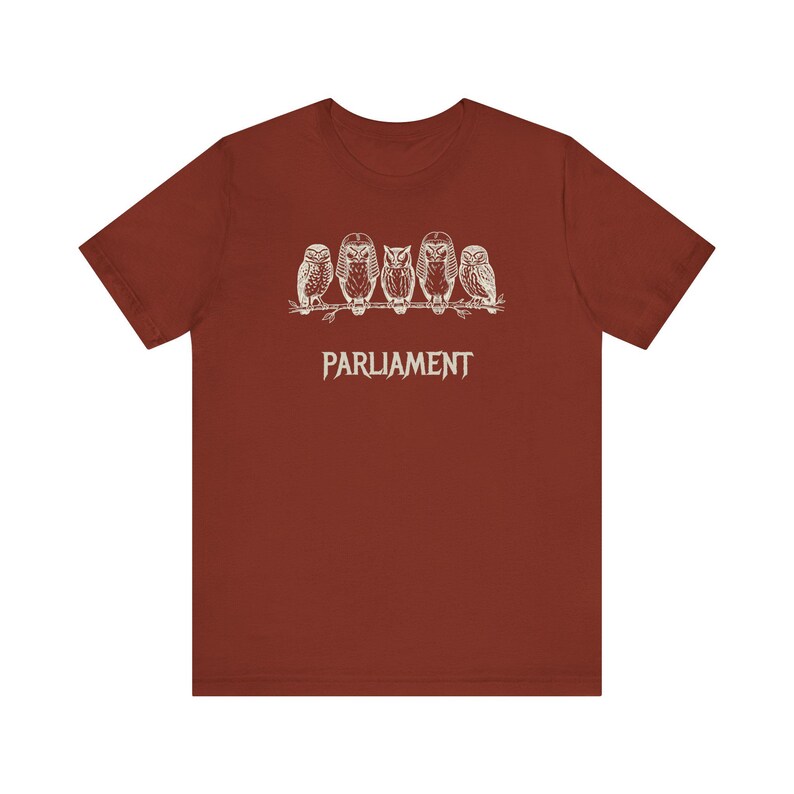 Funny Owl Shirt, Parliament of Owls Collective Noun Tee, Bird Nerd Gift, Literary Humor T-Shirt, Birder Gift, English Teacher Graphic Tee image 7