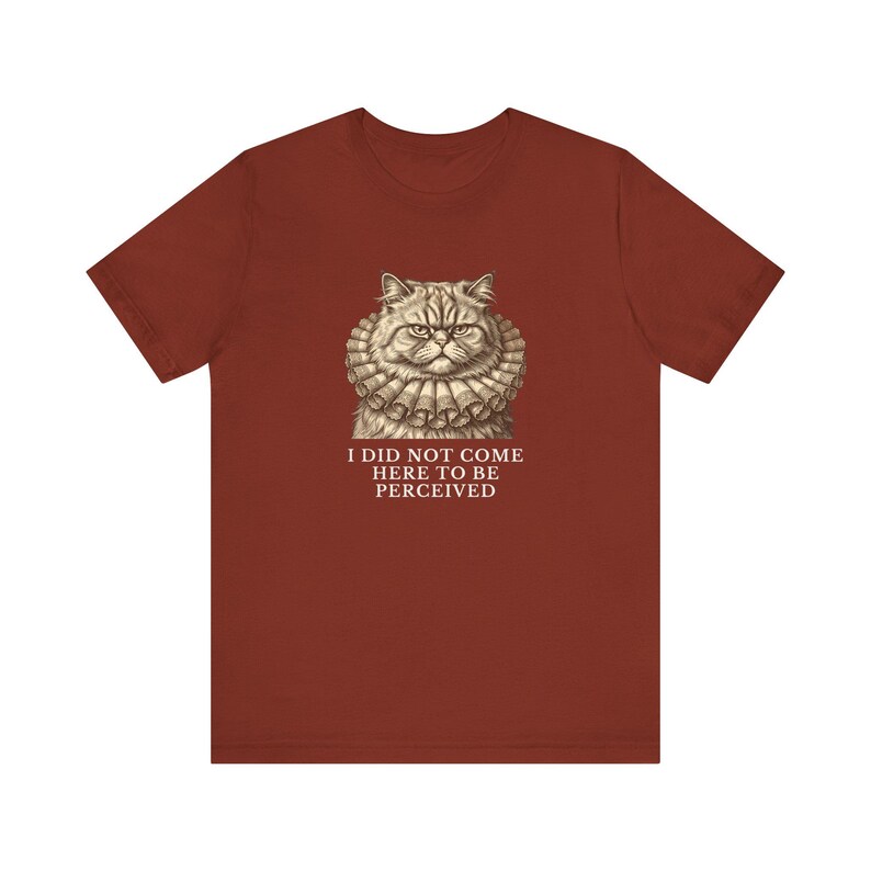 Did Not Come To Be Perceived T-Shirt image 7