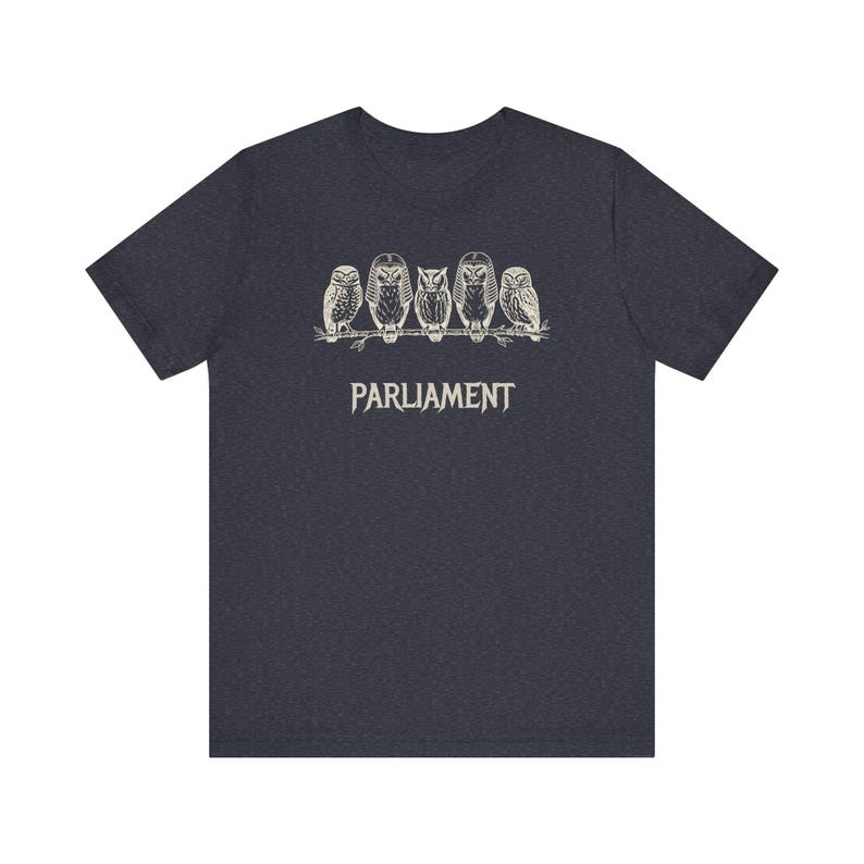 Funny Owl Shirt, Parliament of Owls Collective Noun Tee, Bird Nerd Gift, Literary Humor T-Shirt, Birder Gift, English Teacher Graphic Tee image 14