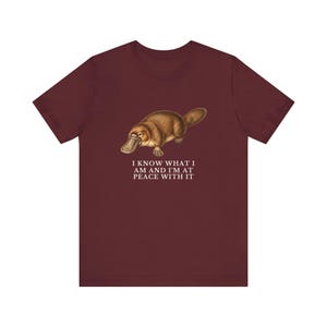 Peace With It Platypus Shirt, Funny Platypus Tee, Self Acceptance Gift, Weird Animal Humor Graphic T-Shirt, Nature Lover image 18