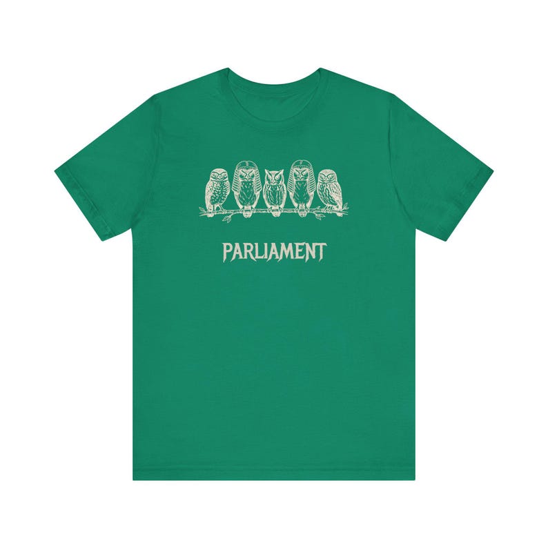 Funny Owl Shirt, Parliament of Owls Collective Noun Tee, Bird Nerd Gift, Literary Humor T-Shirt, Birder Gift, English Teacher Graphic Tee image 11