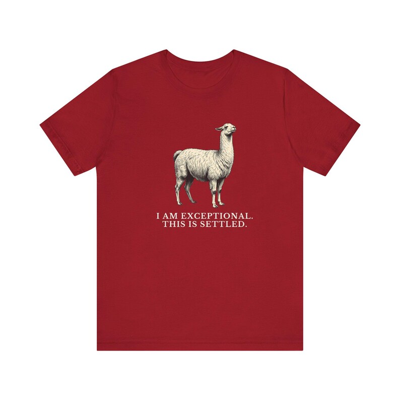 Exceptional This Is Settled Shirt, Funny Llama Tee, Self Confidence Gift, Bold Statement Graphic T-Shirt, Llama Lover image 19