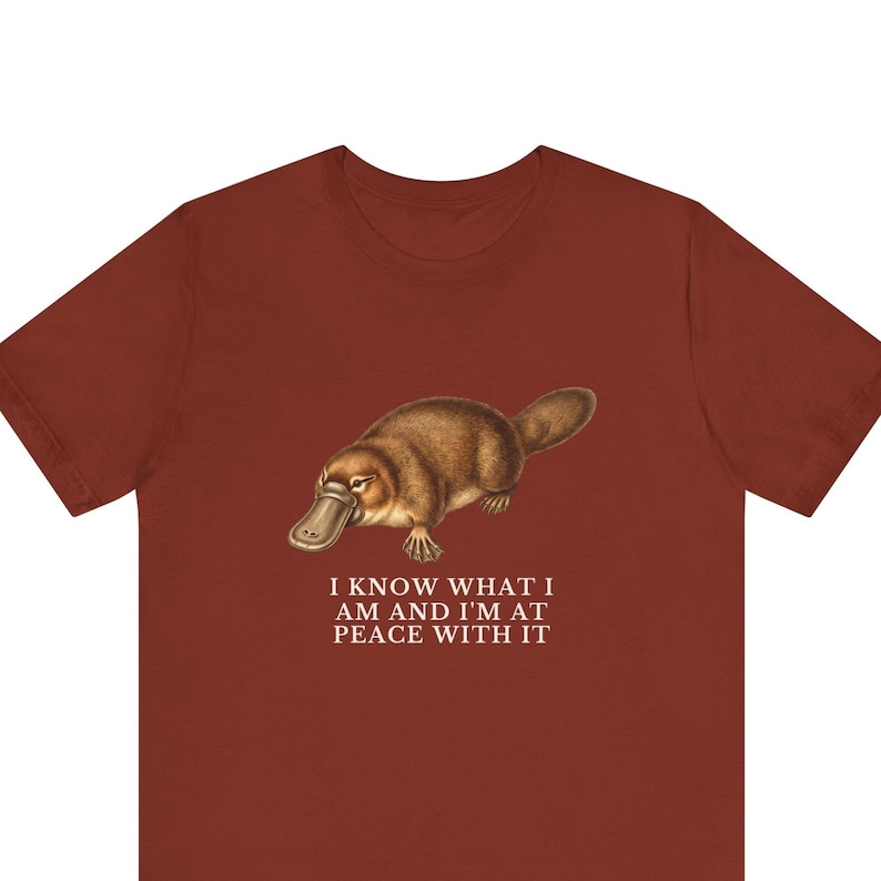 Peace With It Platypus Shirt, Funny Platypus Tee, Self Acceptance Gift, Weird Animal Humor Graphic T-Shirt, Nature Lover image 1