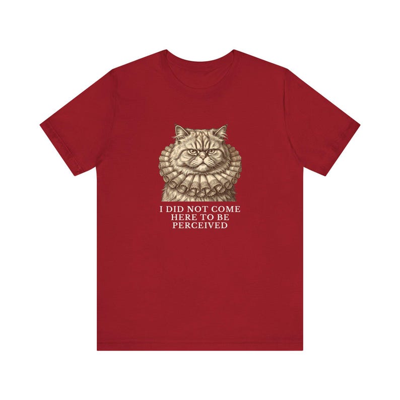 Did Not Come To Be Perceived T-Shirt image 19