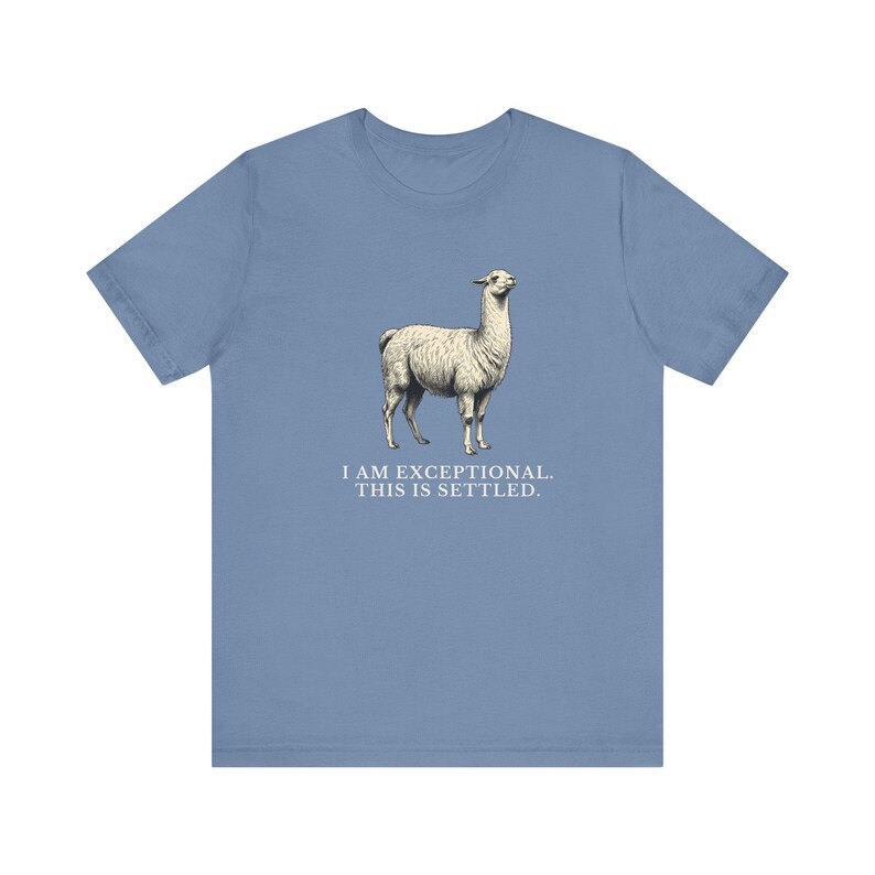 Exceptional This Is Settled Shirt, Funny Llama Tee, Self Confidence Gift, Bold Statement Graphic T-Shirt, Llama Lover image 14