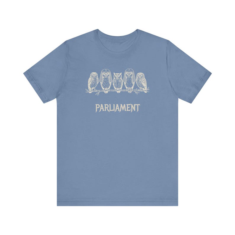 Funny Owl Shirt, Parliament of Owls Collective Noun Tee, Bird Nerd Gift, Literary Humor T-Shirt, Birder Gift, English Teacher Graphic Tee image 13