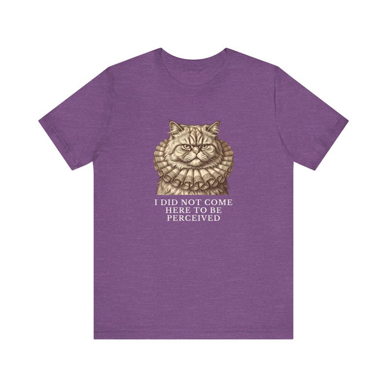 Did Not Come To Be Perceived T-Shirt image 17