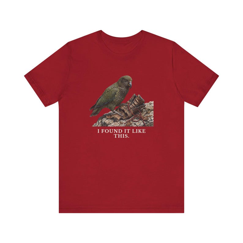 I Found It Like This T-Shirt image 19