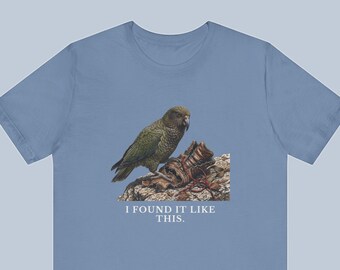 I Found It Like This T-Shirt