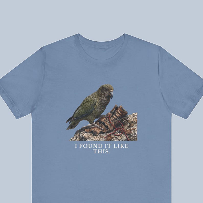 I Found It Like This T-Shirt image 1