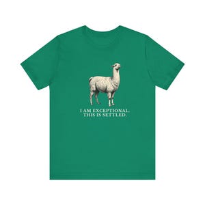 Exceptional This Is Settled Shirt, Funny Llama Tee, Self Confidence Gift, Bold Statement Graphic T-Shirt, Llama Lover image 12