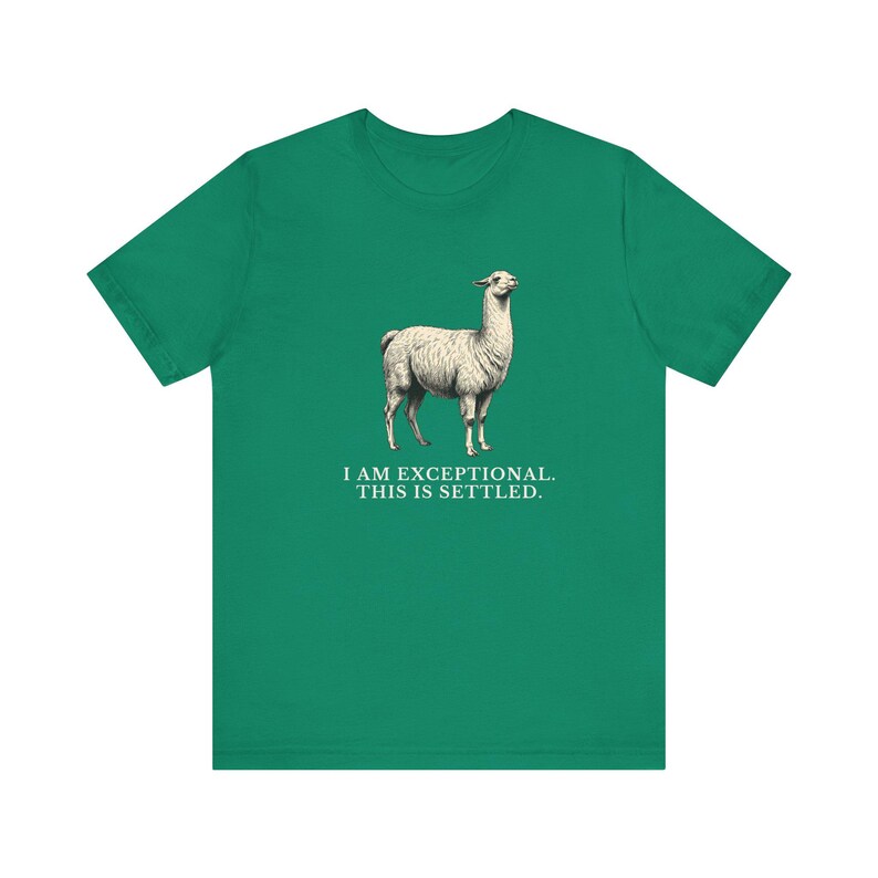 Exceptional This Is Settled Shirt, Funny Llama Tee, Self Confidence Gift, Bold Statement Graphic T-Shirt, Llama Lover image 12