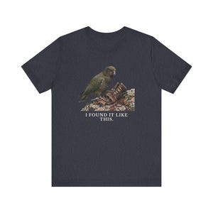 I Found It Like This T-Shirt image 14