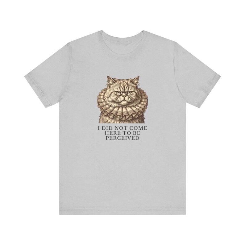 Did Not Come To Be Perceived T-Shirt image 5