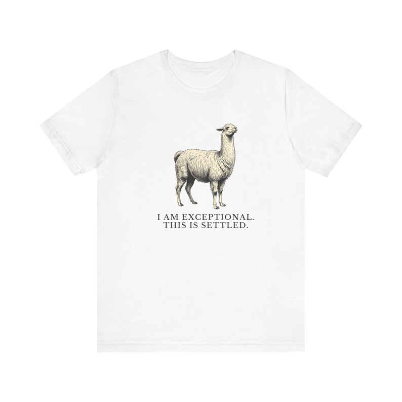 Exceptional This Is Settled Shirt, Funny Llama Tee, Self Confidence Gift, Bold Statement Graphic T-Shirt, Llama Lover image 4