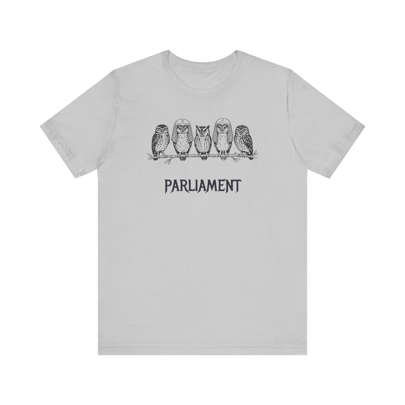 Funny Owl Shirt, Parliament of Owls Collective Noun Tee, Bird Nerd Gift, Literary Humor T-Shirt, Birder Gift, English Teacher Graphic Tee image 5