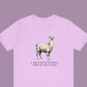 Exceptional This Is Settled Shirt, Funny Llama Tee, Self Confidence Gift, Bold Statement Graphic T-Shirt, Llama Lover image 1