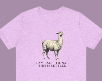 May include: A light purple short-sleeved t-shirt featuring a detailed black and white illustration of a standing llama in the center. Below the llama, the text reads: I AM EXCEPTIONAL. THIS IS SETTLED. The shirt has a crew neckline and a heathered texture.