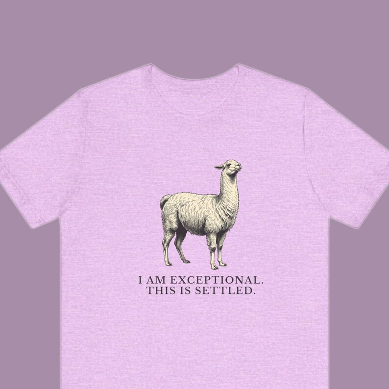 Exceptional This Is Settled Shirt, Funny Llama Tee, Self Confidence Gift, Bold Statement Graphic T-Shirt, Llama Lover image 1