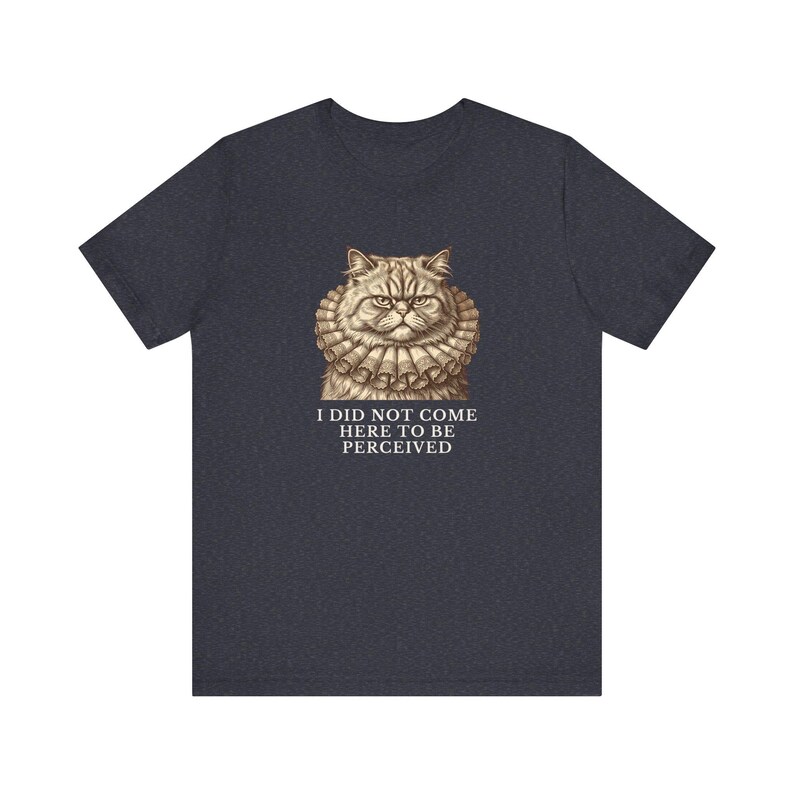 Did Not Come To Be Perceived T-Shirt image 15