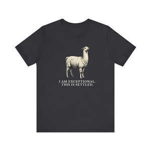 Exceptional This Is Settled Shirt, Funny Llama Tee, Self Confidence Gift, Bold Statement Graphic T-Shirt, Llama Lover image 10