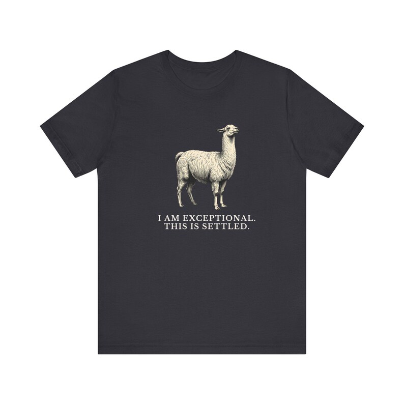 Exceptional This Is Settled Shirt, Funny Llama Tee, Self Confidence Gift, Bold Statement Graphic T-Shirt, Llama Lover image 10