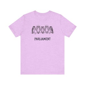 Funny Owl Shirt, Parliament of Owls Collective Noun Tee, Bird Nerd Gift, Literary Humor T-Shirt, Birder Gift, English Teacher Graphic Tee image 17