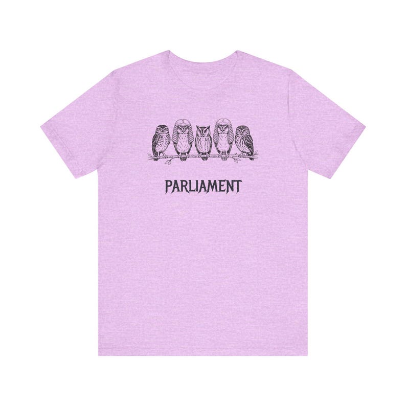 Funny Owl Shirt, Parliament of Owls Collective Noun Tee, Bird Nerd Gift, Literary Humor T-Shirt, Birder Gift, English Teacher Graphic Tee image 17