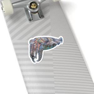 Cuttlefish Sticker - Colour Changing Cuttlefish Kiss-Cut Sticker, Marine Biology Gift image 8
