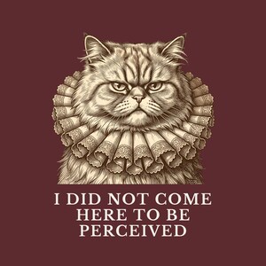 Did Not Come To Be Perceived T-Shirt image 2