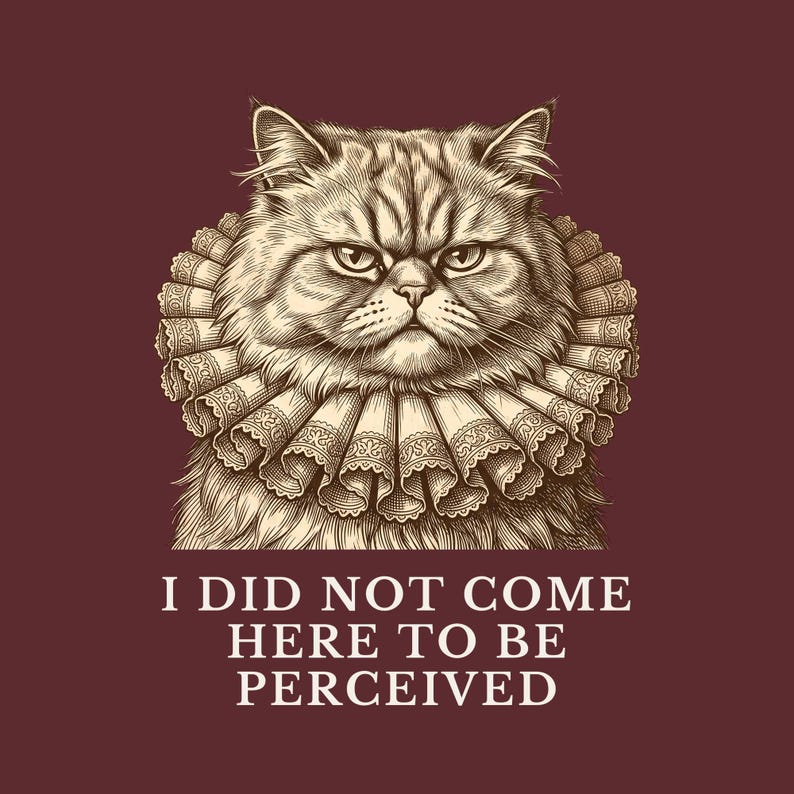 Did Not Come To Be Perceived T-Shirt image 2