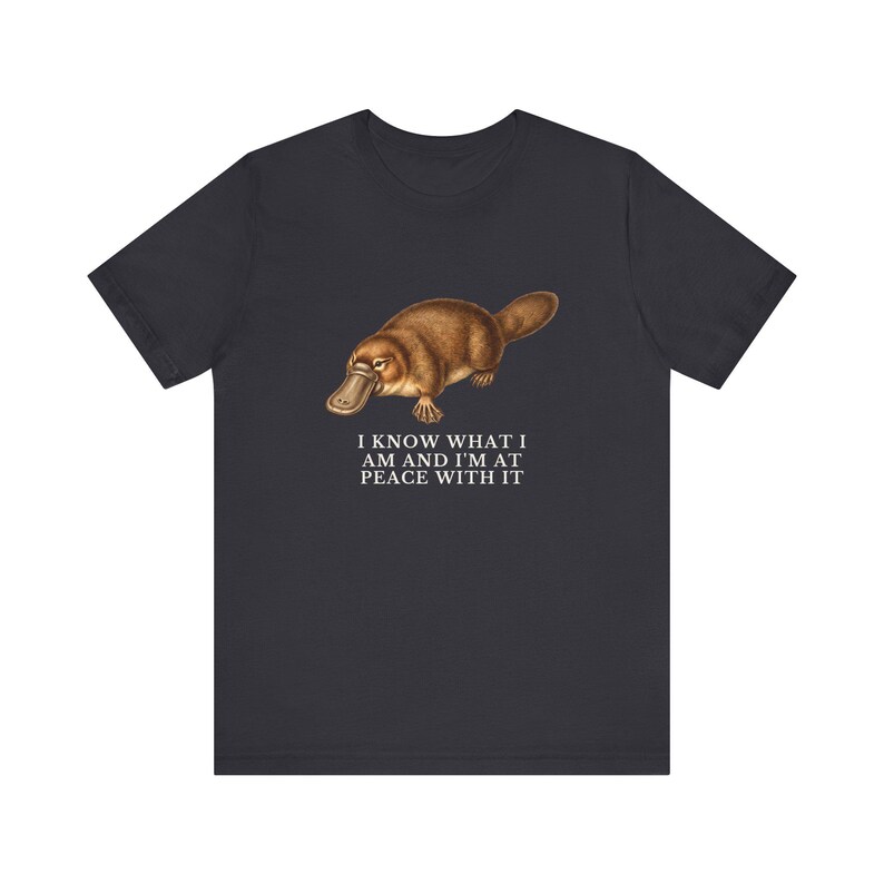Peace With It Platypus Shirt, Funny Platypus Tee, Self Acceptance Gift, Weird Animal Humor Graphic T-Shirt, Nature Lover image 9