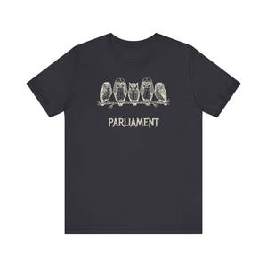 Funny Owl Shirt, Parliament of Owls Collective Noun Tee, Bird Nerd Gift, Literary Humor T-Shirt, Birder Gift, English Teacher Graphic Tee image 9