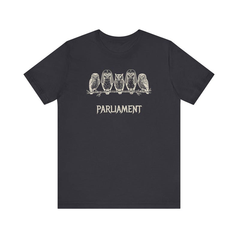 Funny Owl Shirt, Parliament of Owls Collective Noun Tee, Bird Nerd Gift, Literary Humor T-Shirt, Birder Gift, English Teacher Graphic Tee image 9