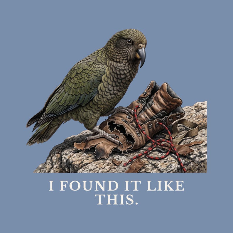 I Found It Like This T-Shirt image 2