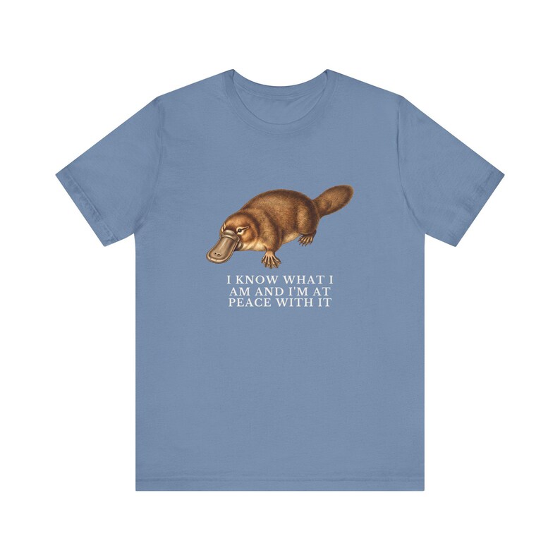 Peace With It Platypus Shirt, Funny Platypus Tee, Self Acceptance Gift, Weird Animal Humor Graphic T-Shirt, Nature Lover image 13