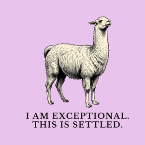 Exceptional This Is Settled Shirt, Funny Llama Tee, Self Confidence Gift, Bold Statement Graphic T-Shirt, Llama Lover image 2