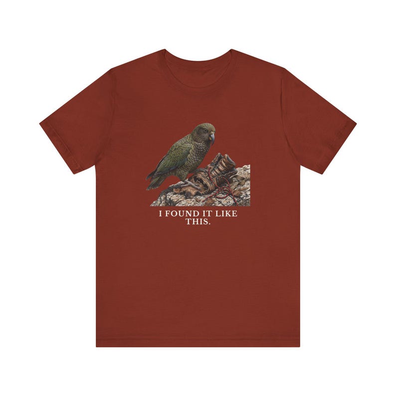 I Found It Like This T-Shirt image 7