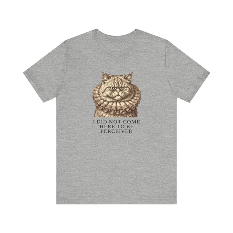 Did Not Come To Be Perceived T-Shirt image 13