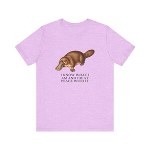 Peace With It Platypus Shirt, Funny Platypus Tee, Self Acceptance Gift, Weird Animal Humor Graphic T-Shirt, Nature Lover image 17