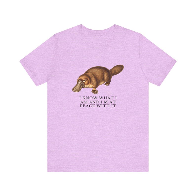 Peace With It Platypus Shirt, Funny Platypus Tee, Self Acceptance Gift, Weird Animal Humor Graphic T-Shirt, Nature Lover image 17