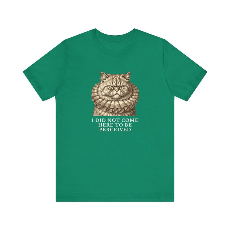 Did Not Come To Be Perceived T-Shirt image 12