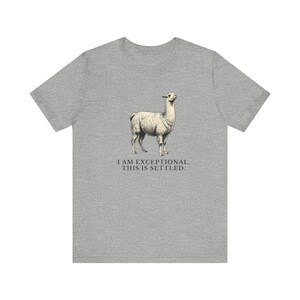 Exceptional This Is Settled Shirt, Funny Llama Tee, Self Confidence Gift, Bold Statement Graphic T-Shirt, Llama Lover image 13